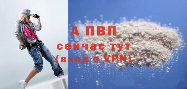 spice Беломорск