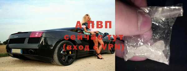 кокс Белокуриха