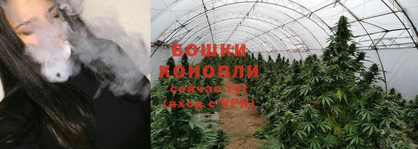 кокс Белокуриха