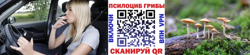 Псилоцибиновые грибы MAGIC MUSHROOMS Макаров