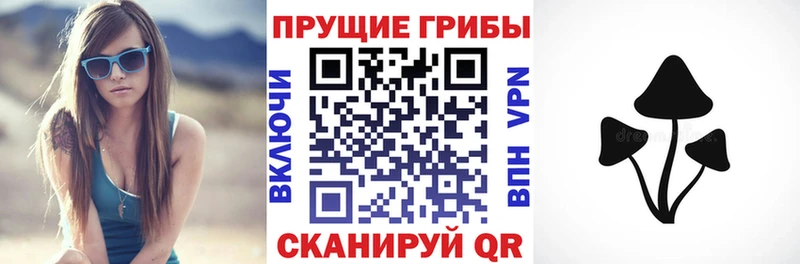 Галлюциногенные грибы Psilocybe Макаров
